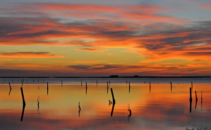 Delta del Ebro